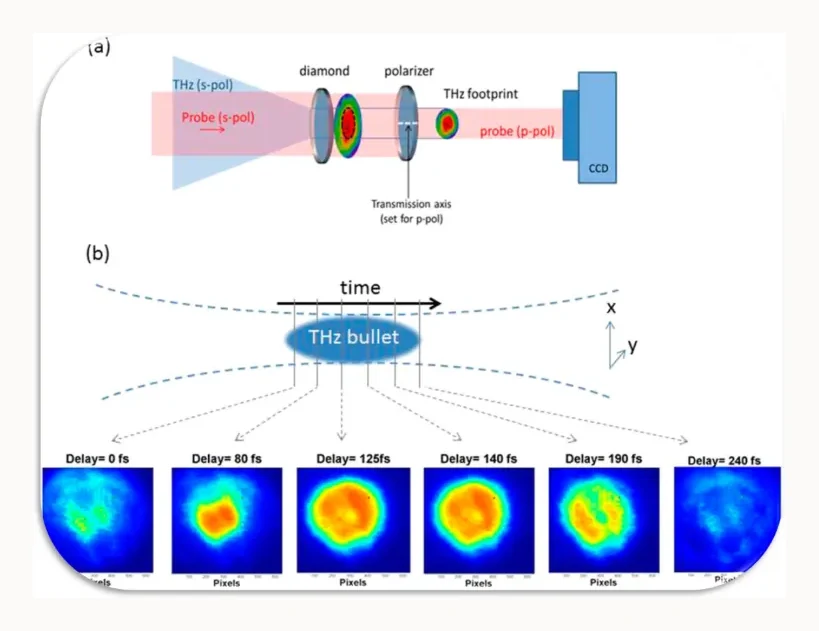DAST beam and focusing measurements