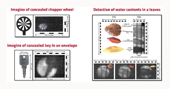 RIGI camera in a laboratory imaging setup