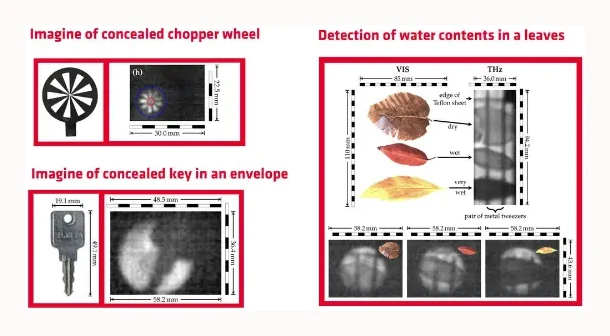 PCA Scanner — application overview